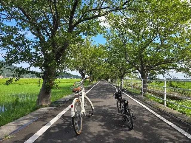PEDAL DAY GO Mt. TSUKUBA - Parent-Child Mission Ride (PEDAL DAY GO Mt. TSUKUBA親子で楽しむミッションライド) logo