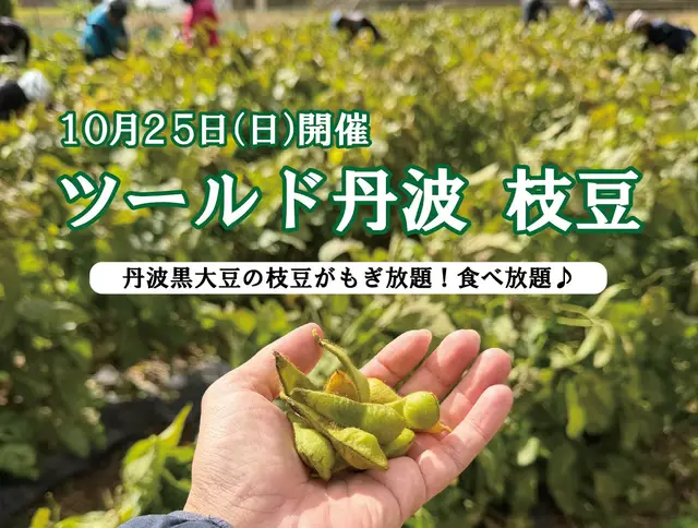 22nd Tour de Tamba Edamame (第22回 ツールド丹波 枝豆) logo
