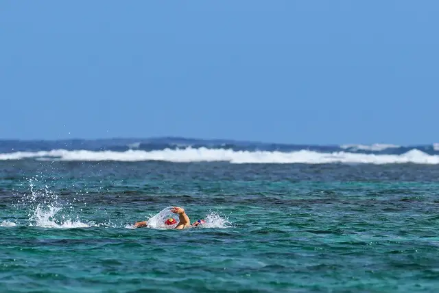 NOWS Ishigaki Open Water Swim 2026 (NOWS石垣島OWS大会2026) logo
