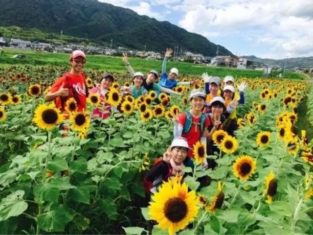 Sunflowers in Autumn!? Kyoto Nishiyama Old Road Trail Run 15K (【秋なのにひまわり畑!?】京都・西山古道トレイルラン15km) logo