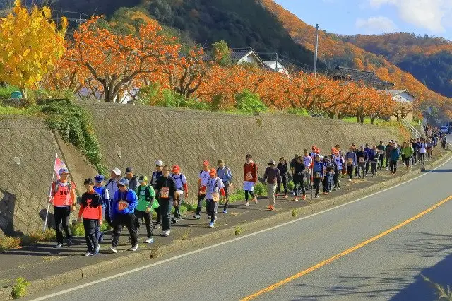 Japan National 29 Road Walk (全日本29ロードウォーク) logo