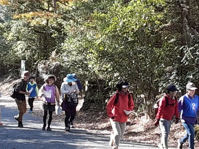 Enjoy Orienteering in Autumn with Round Fires! (秋の丸火でオリエンテーリングを楽しもう！) logo