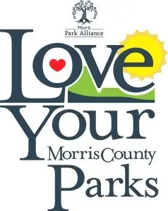 Spring Forward 5K & 10K logo
