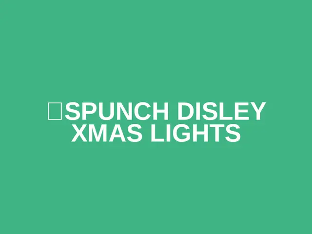 🎄SPUNCH DISLEY XMAS LIGHTS logo
