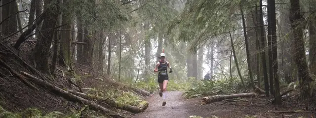 Squak Mountain logo