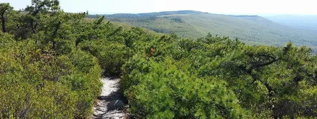 SRT - Shawangunk Ridge Trail Run logo