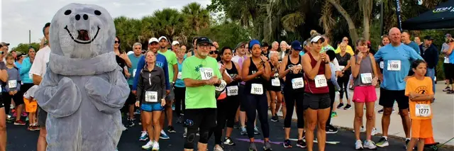 Tampa Electric's Run for the Manatees logo