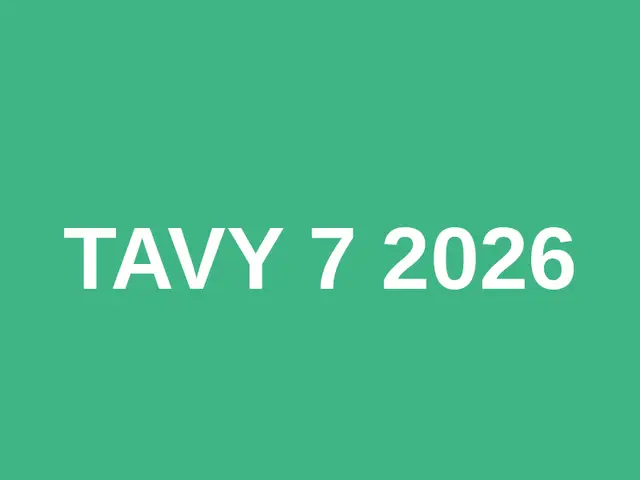 Tavy 7 2026 logo