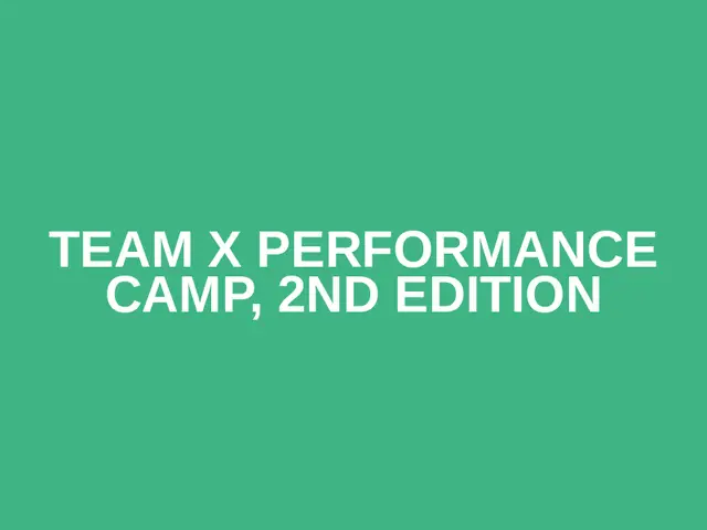 Team X Performance Camp, 2nd edition logo