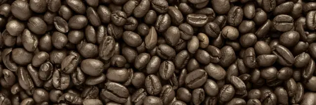 The Coffee Cruise  – 5K, 10K, 10-Miler, Half Marathon logo