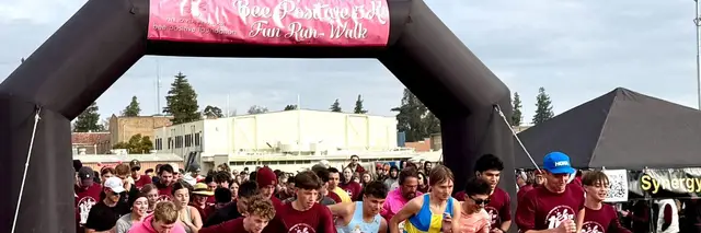 The Kayla Bernardi BEE Positive Fun Run Walk logo