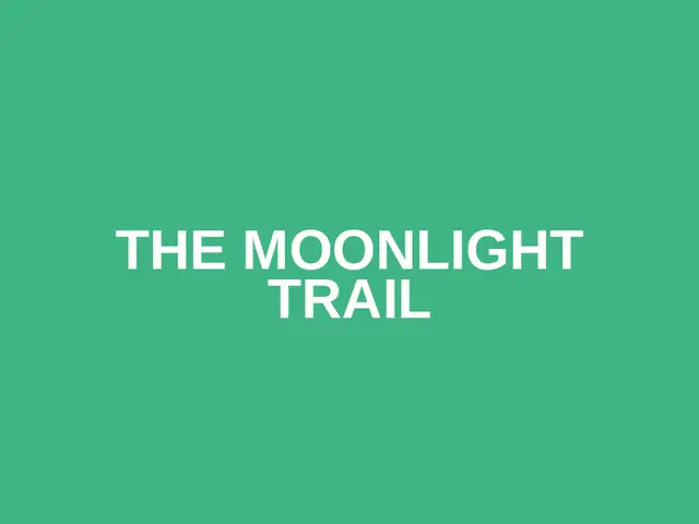 The Moonlight Trail logo