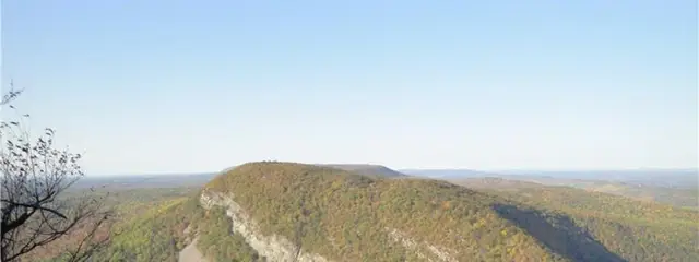 The MT. TAMMANY 10 logo