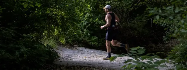 The Piasa logo