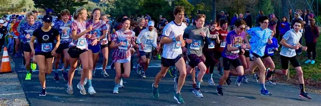 The Running Chicken 2027 10K/5K Fun Run & Walk - Fundraiser for Run 4 Bitti and Brynn Foundation logo