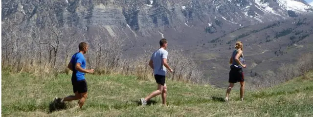 The Timp Trail Marathon and Half logo