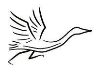 Tomorrow River Trail Half-Marathon logo