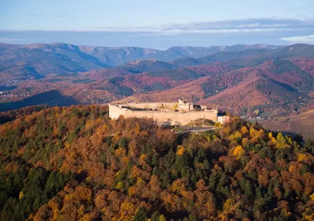 Trail Alsace by UTMB - TRAIL DES ECUYERS Cadets logo