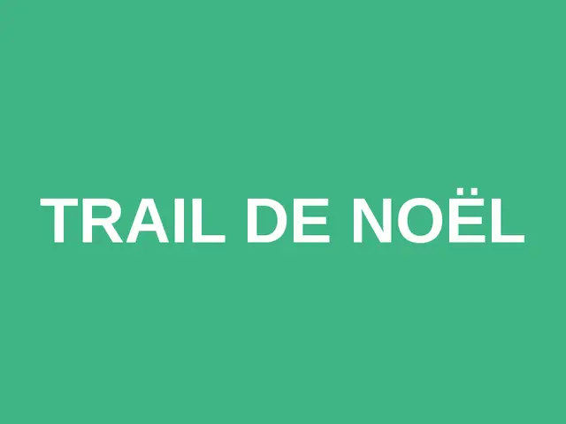 Trail de Noël logo