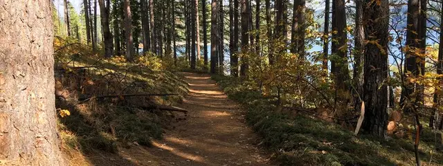 Trail Run at Sly Park - Fall logo