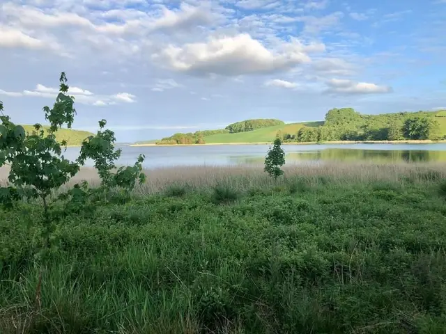Trail Serien for ALLE 2027 Nr. 3 Lindet Skov logo