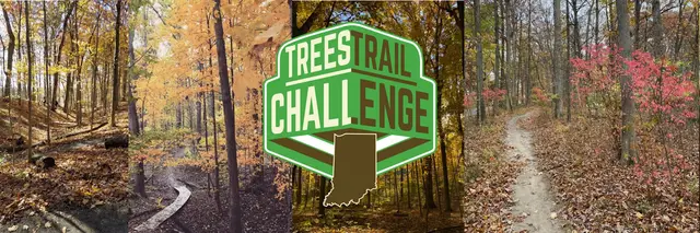 Trees Trail Challenge logo