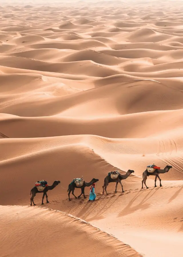 Trek Des Gazelles By Mélanie logo