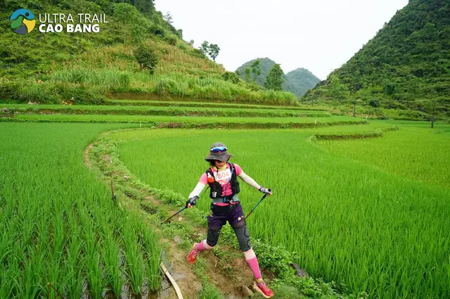 Ultra Trail Cao Bang logo