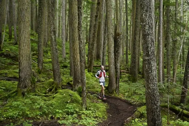 Ultra Trail Whistler by UTMB - 10K logo