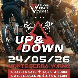 Up & Down logo