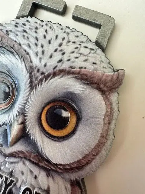 Valley of the Owls Run - 5K, 10K, HALF, FULL & ULTRA MARATHON logo