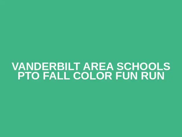 Vanderbilt Area Schools PTO Fall Color Fun Run logo
