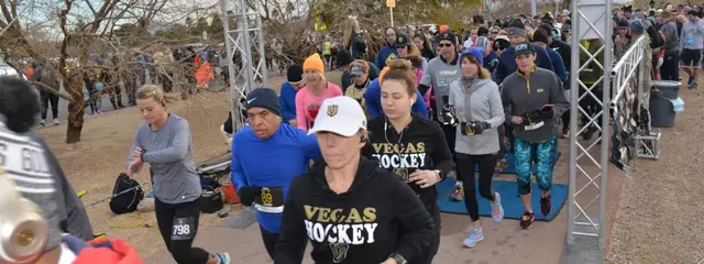 Vegas Golden Night & Day logo