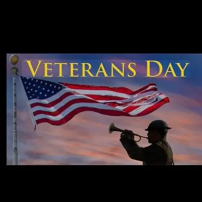 Veterans Day 5K walk /run logo