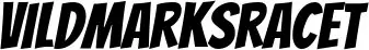 Vildmarksracet 2027 logo