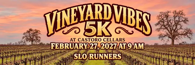 Vineyard Vibes 5K logo