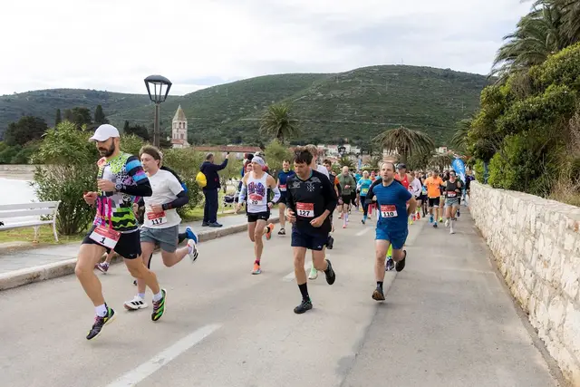 Vis Half Marathon logo