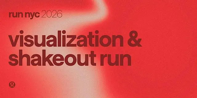 Visualization & Shakeout Run logo