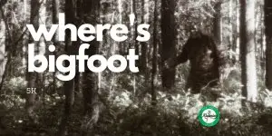 Where's Bigfoot 5k logo