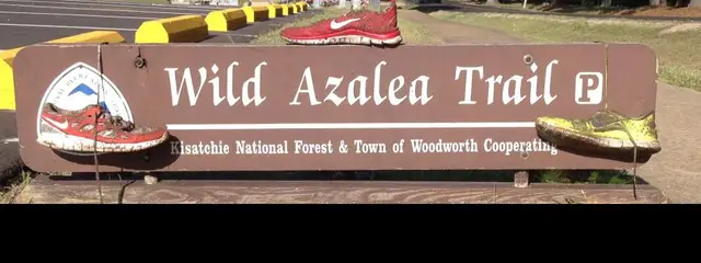 Wild Azalea Trail Challenge logo
