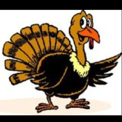 Wild Turkey 5 Mile logo