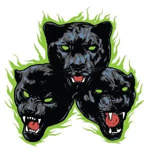 Wildcat logo