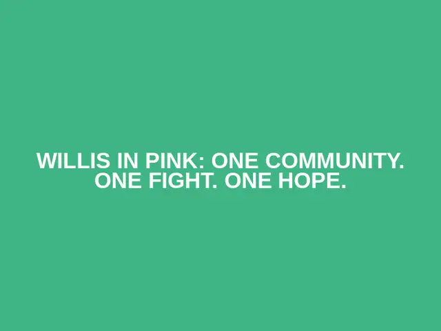 Willis in Pink: One Community. One Fight. One Hope. logo