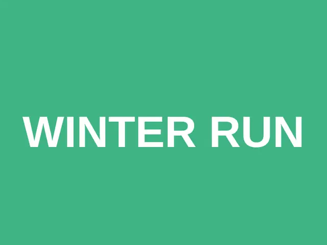 Winter Run logo
