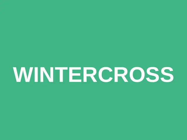 Wintercross logo