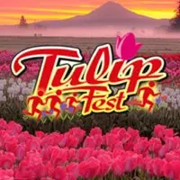 Wooden Shoe TulipFest Run logo