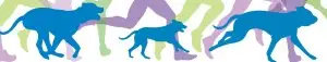 Woof-A-Palooza logo
