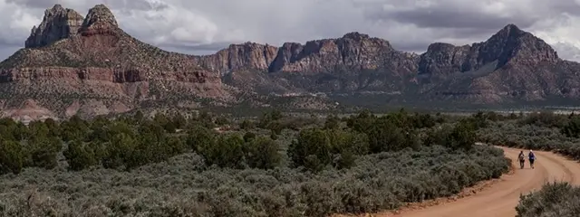Zion Ultras logo
