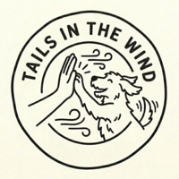 Tails in the Wind race discount image