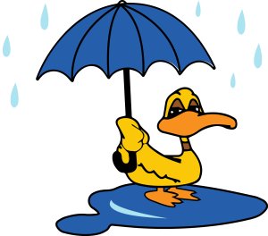 Jeanne Richie Memorial Puddle Jump